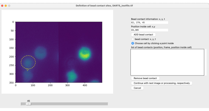 Bead contact analysis, microscopy image; software interface for x, y, t position definition.
