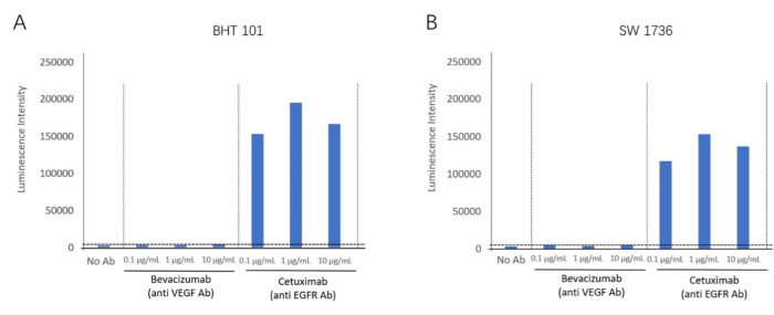 Luminescence intensity graph; Cetuximab and Bevacizumab effects; BHT 101, SW 1736 cell analysis.