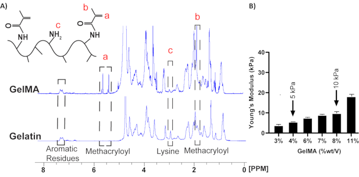 GelMA and gelatin spectroscopy; NMR spectra, chemical structure, Young's modulus chart comparison.