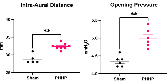 Intra-Aural Distance and Opening Pressure graph comparing Sham vs. PHHP with statistical significance.