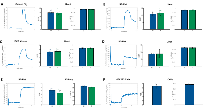 Heart, liver, kidney data; time vs. fluorescence graphs, comparison bar charts; experiment results.