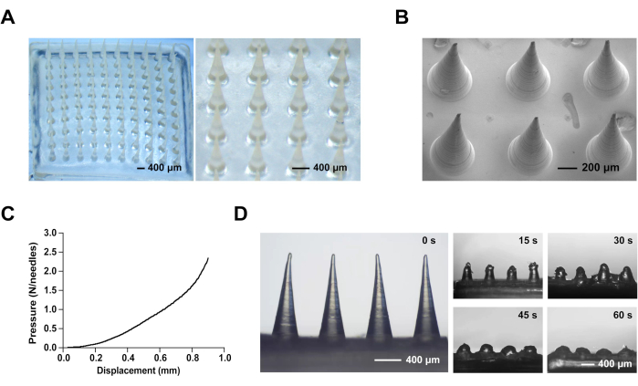Microneedle fabrication diagram, SEM image, pressure-displacement graph, penetration test sequence.