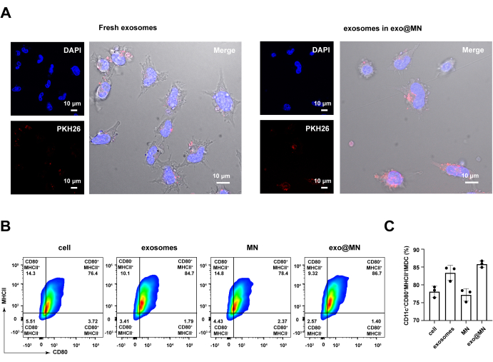 Exosome microscopy and flow cytometry results; cell staining, flow analysis, CD80 MHCII expression.