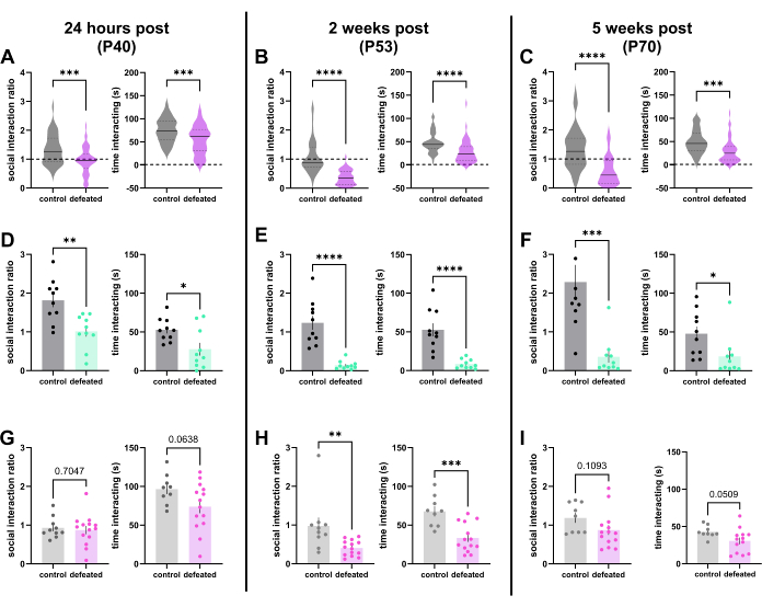 figure-results-1 Social interaction ratios and times for control vs. defeated at different post-time points; analysis charts.