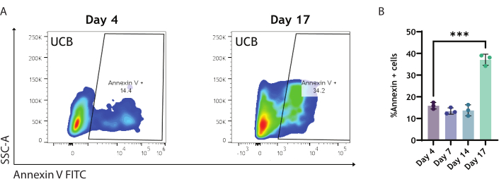 Annexin V FITC flow cytometry diagram showing cell apoptosis progression over days, statistical bar graph.