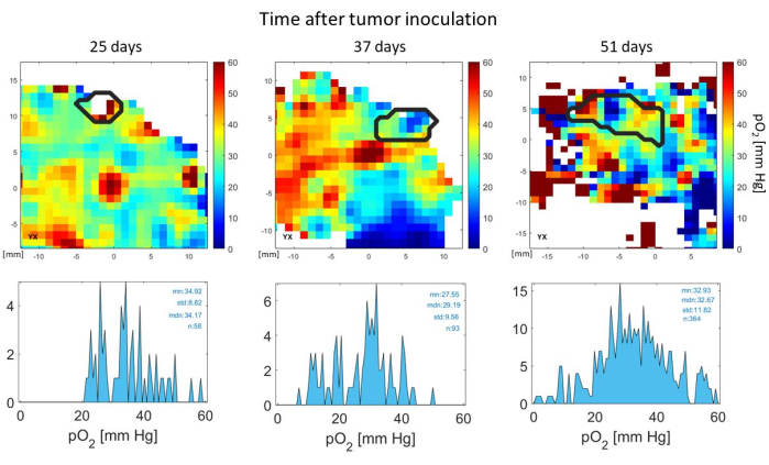 Tumor Hypoxia Assessment: In Vivo 3D Oxygen Imaging Through Electron ...