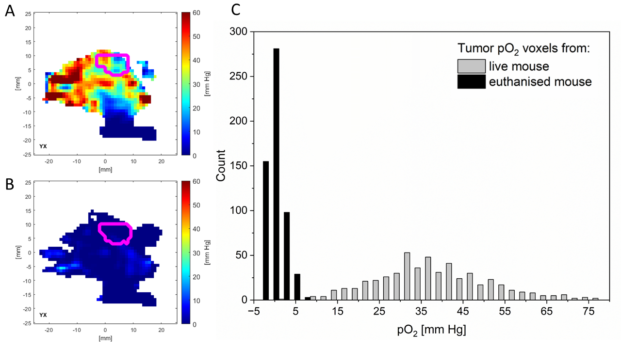 Tumor Hypoxia Assessment: In Vivo 3D Oxygen Imaging Through Electron ...