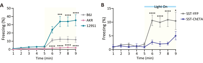 Freezing behavior graphs; optical stimulation effect on mice (A: B6J, AKR, 129S1; B: SST-YFP, SST-ChETA).