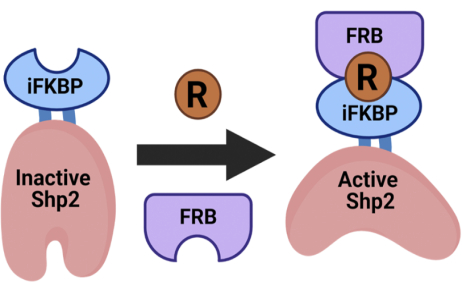 figure-introduction-1 figure-introduction-1