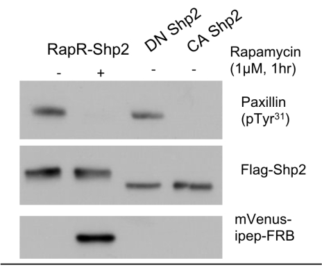 figure-results-1 figure-results-1