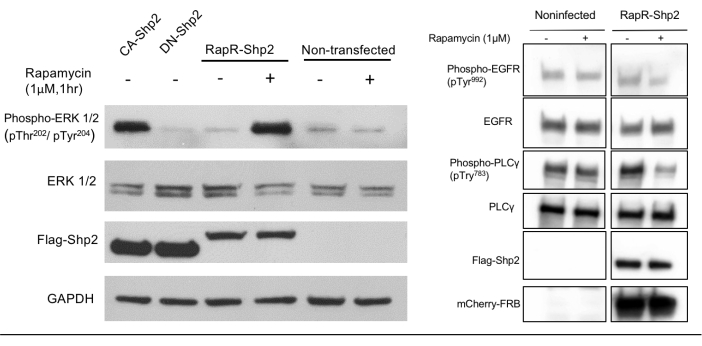 figure-results-2 figure-results-2