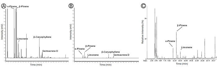 figure-results-5 Chromatography graph for terpene analysis showing α-Pinene, β-Pinene, Limonene; experimental results.