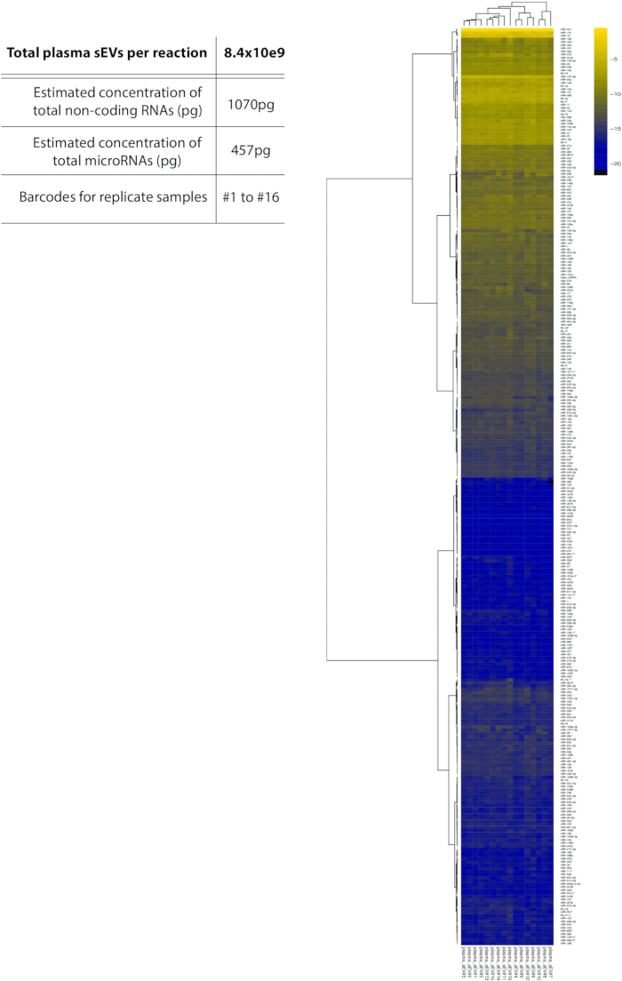 figure-results-10 Heatmap of plasma sEVs showing non-coding RNA concentration and microRNA analysis; data clustering.