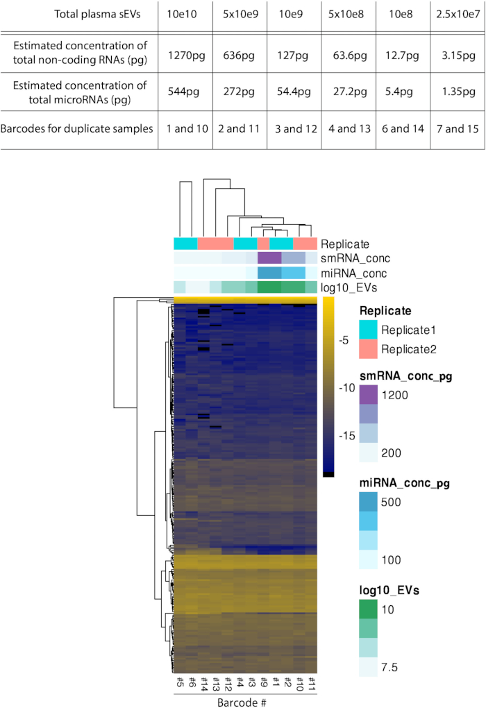 figure-results-11 Heatmap of RNA concentrations; microRNA levels in plasma sEVs; data clustering for replicate analysis.