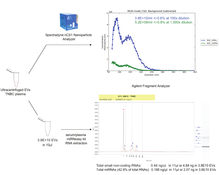 figure-results-3 Ultracentrifugation RNA extraction workflow with Spectradyne nCS1 and Agilent Fragment Analyzer chart.