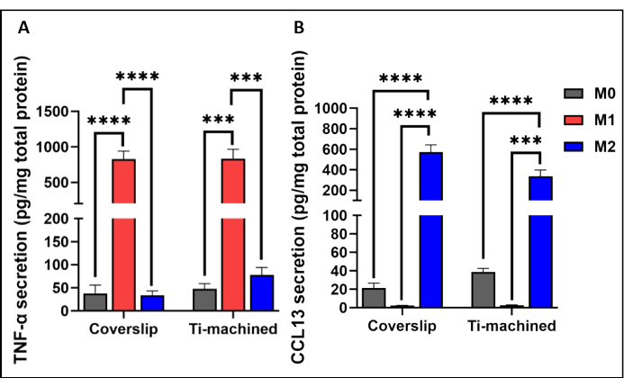 TNF-α and CCL13 secretion bar graphs; cytokine levels per substrate type and macrophage state (M0, M1, M2).