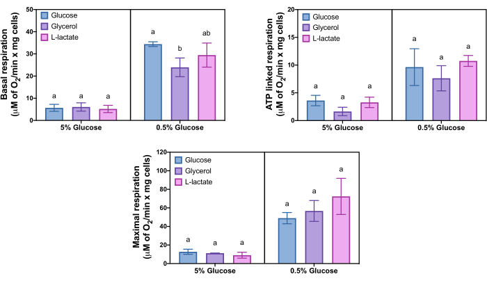 figure-results-2 Metabolic respiration data analysis in bar charts; basal, ATP-linked, maximal respiration, glucose impact.