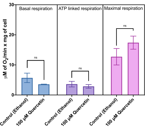 figure-results-3 Bar chart comparing basal, ATP-linked, and maximal respiration rates in quercetin-treated cells.