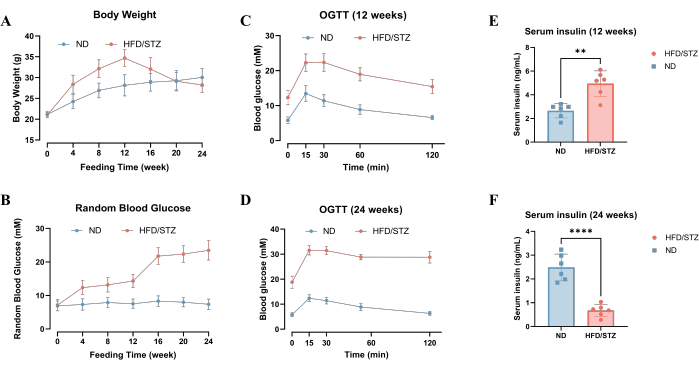 Graphs of body weight, glucose levels, and insulin comparison in ND and HFD/STZ mice over time.