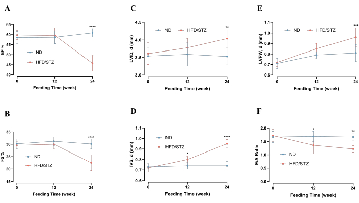 Cardiovascular measurements graph; ND vs HFD/STZ over time, EF, FS, LVID, IVS, LVPW, E/A ratio.