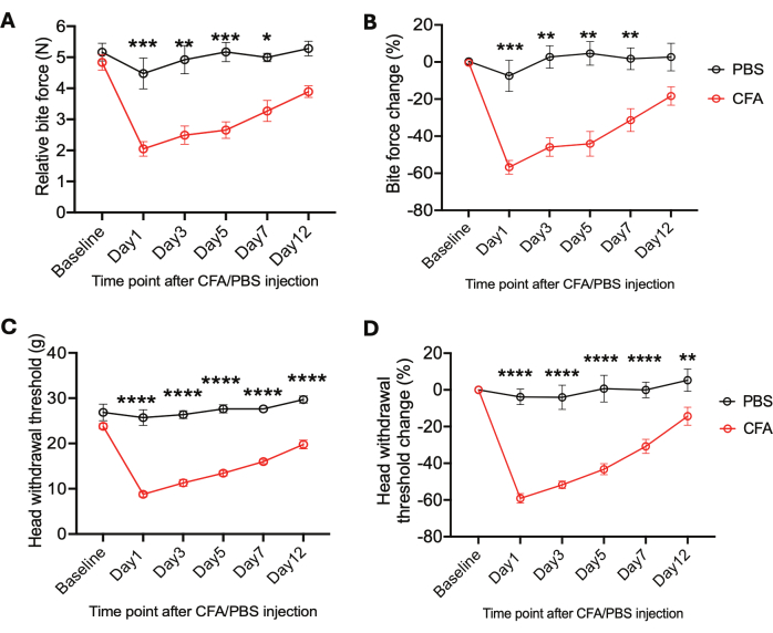 figure-results-4 Bite force, withdrawal threshold analysis graphs after CFA, PBS injection; comparative time-point results.