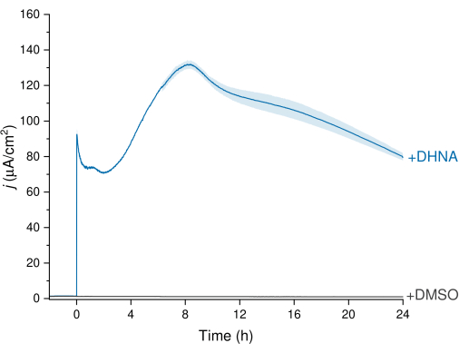 Chronoamperometry graph shows current density vs. time for DHNA and DMSO treatment comparison.