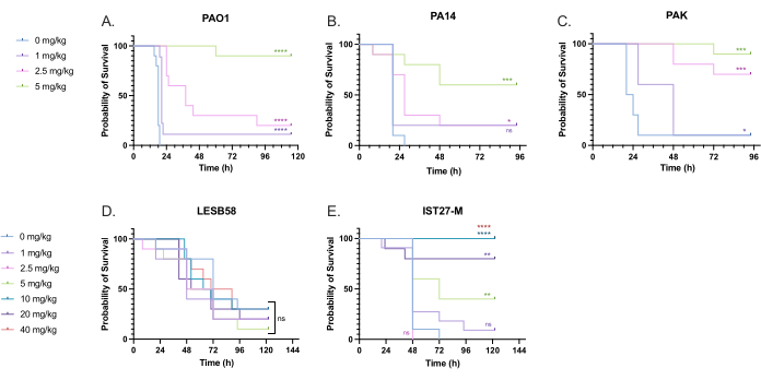 figure-results-8 Survival probability Kaplan-Meier plots, antimicrobial treatment efficacy in bacterial strains over time.