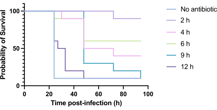 figure-results-9 Survival probability graph, time post-infection; antibiotic effect over 0-100 h.