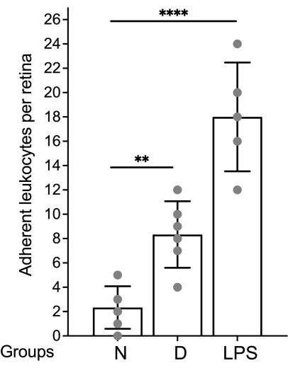Bar chart, adherent leukocytes per retina comparison; groups N, D, LPS; statistical significance.