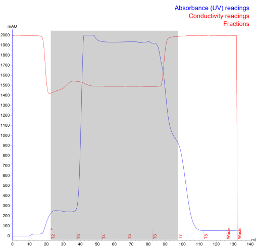 Protein purification chromatography graph with UV absorbance, conductivity, and fraction data.