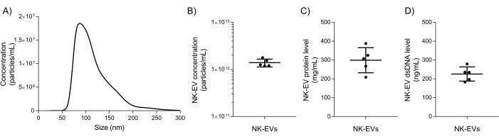 NK-EV analysis: Graphs showing size distribution, concentration, protein, and dsDNA levels of NK-EVs.