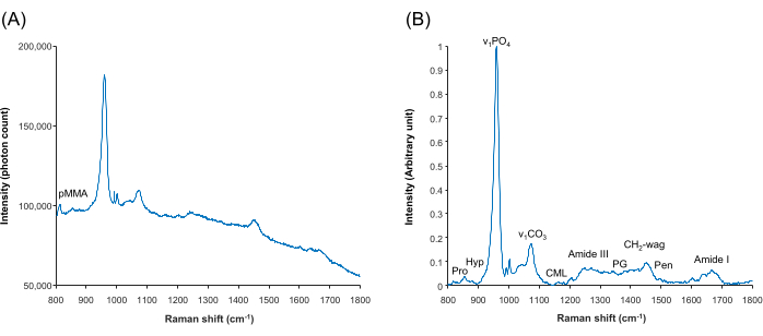 Raman spectroscopy graphs showing intensity vs. Raman shift for sample analysis and molecular identification.
