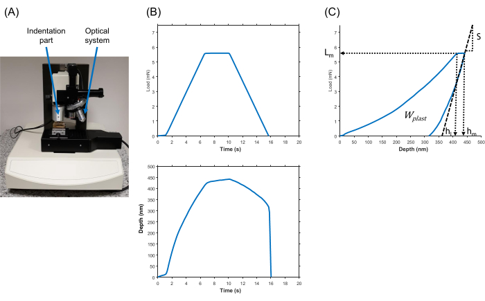 Indentation analysis: (A) Optical system setup; (B) Load vs time/depth graphs; (C) Load-depth diagram.