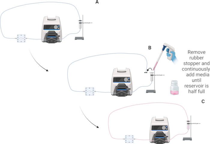 figure-protocol-9
