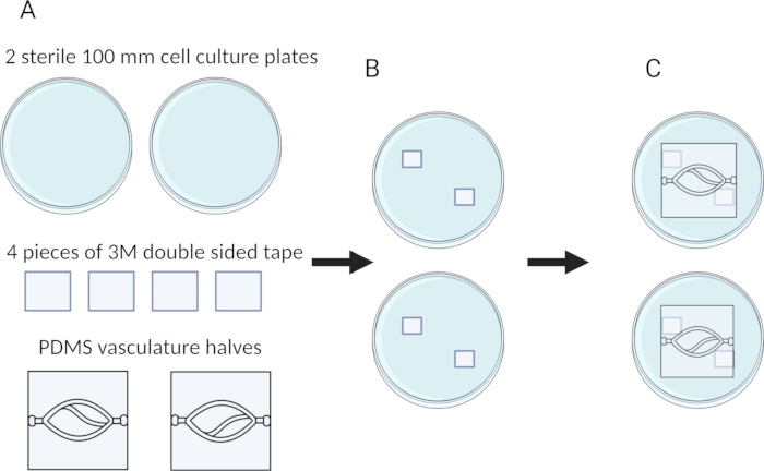 figure-protocol-5