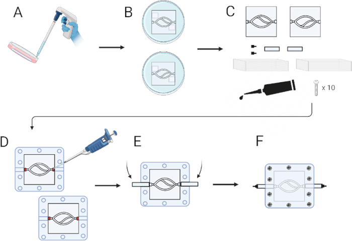 figure-protocol-7