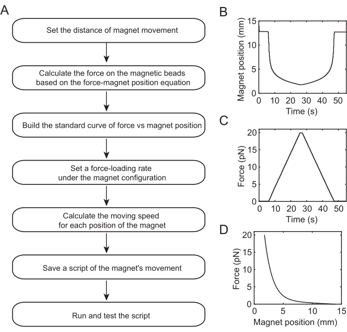 figure-results-4 Magnet force analysis process with flowchart, position-time graph, force-time chart, and force-position curve.