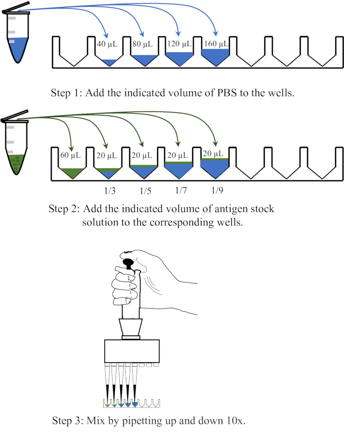 PBS-antigen dilution process steps; pipetting volumes; diagram; lab technique; mixing wells.
