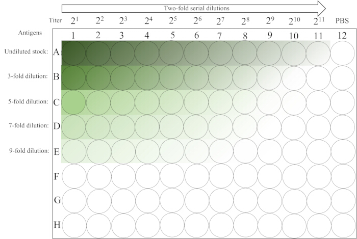Two-fold serial dilution chart; antigen dilution; data visualization in immunological assays.