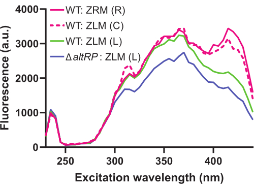 figure-results-3 Grafico dello spettro di eccitazione della fluorescenza; lunghezza d'onda vs fluorescenza; analisi dello studio proteico.