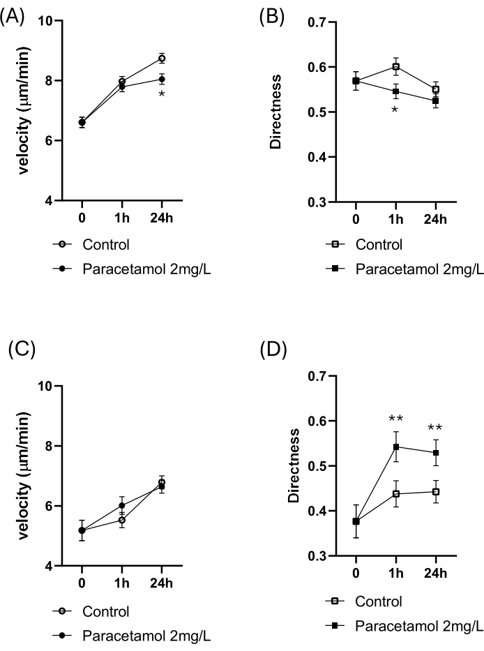 Paracetamol effect on cell motility, velocity, directness; graphs, control vs 2mg/L over 24h.