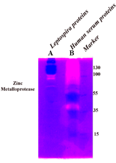 figure-results-1