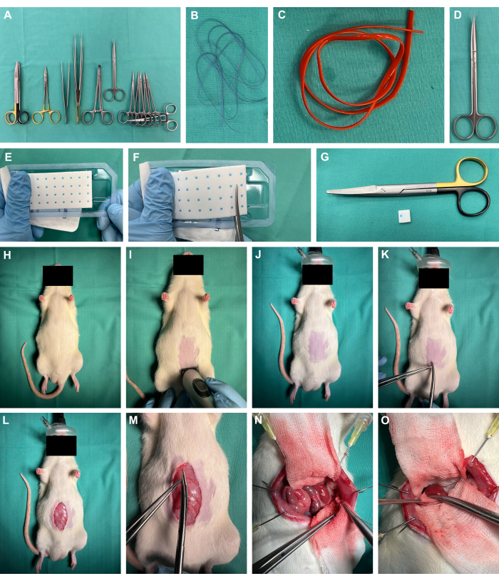 Surgical tools, sutures, and animal surgery setup for experimental procedure.