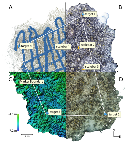 figure-protocol-3