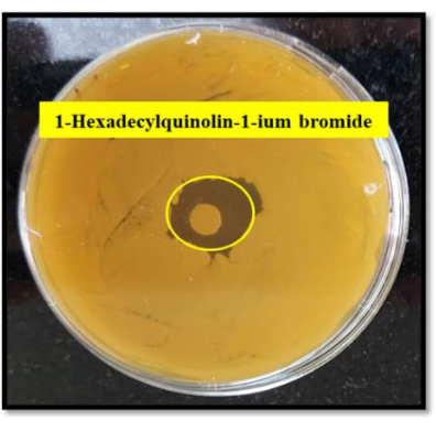 figure-results-9 Antimicrobial activity assay, Petri dish with inhibition zone for compound 1-Hexadecylquinolin-1-ium.