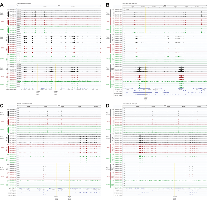 figure-results-5 Genomic sequencing data, SNP analysis results, comparison charts for DNA variability research.