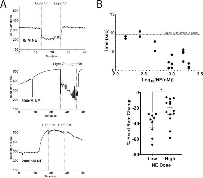 figure-results-4 Heart rate change vs norepinephrine dose, line and scatter plots, light-induced stimulation.