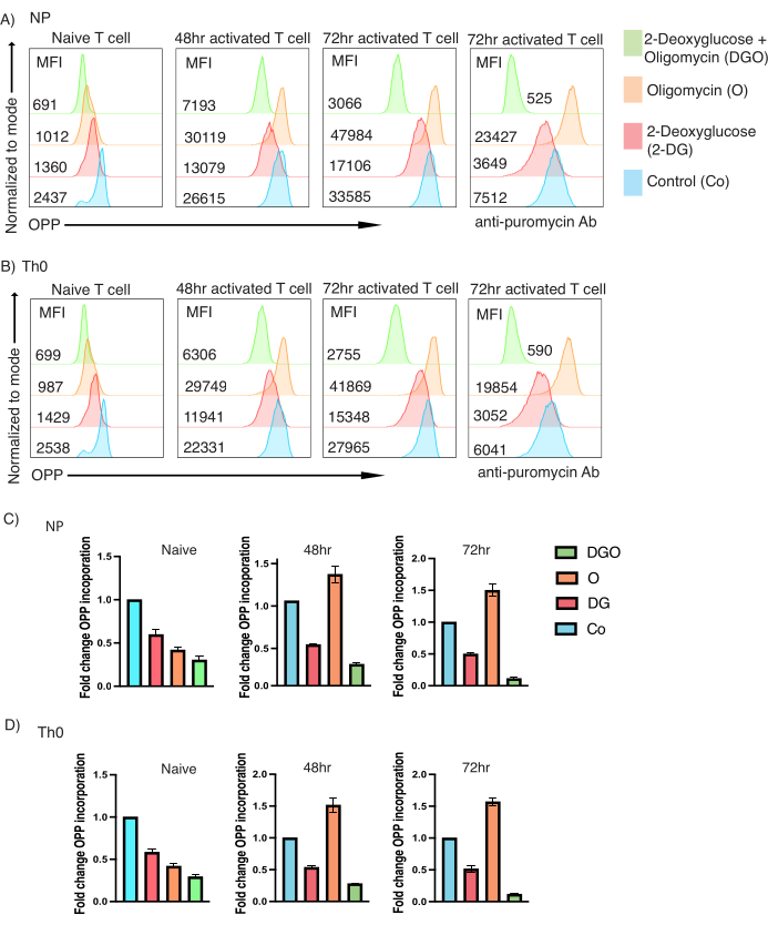 Flow cytometry results; OPP incorporation in T cells; bar graph; histogram; metabolic inhibitor effects.