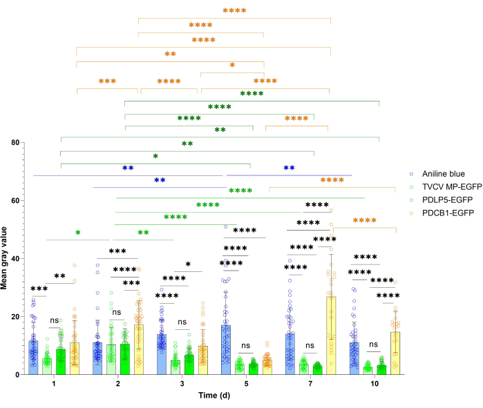 Bar chart comparing mean gray value of different markers over time; data analysis, statistical significance.