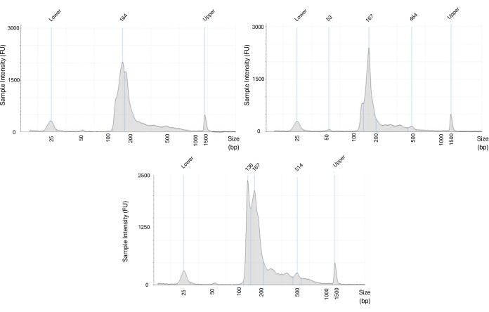 figure-results-4 DNA fragment size analysis; electropherograms; sample intensity (FU) vs. size (bp); electrophoresis.